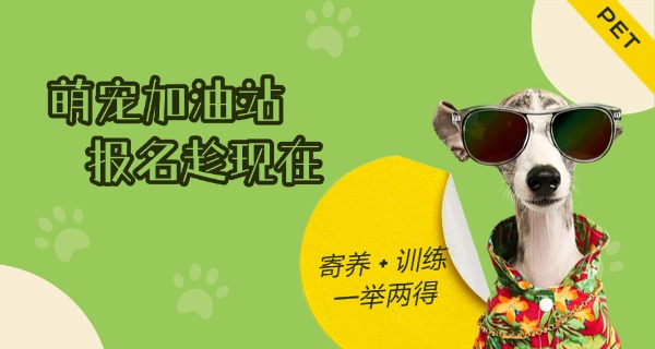 六盘水宠物训练中心在哪-六盘水宠物训练中心在哪