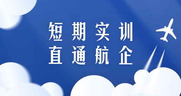 沧	州航空职业学院院校代号