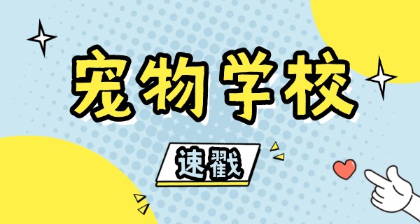 阜新宠物美容学校哪有-阜新宠物美容学校在哪里