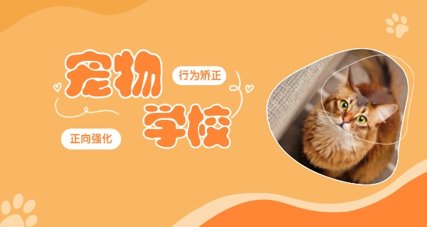 遵义宠物学校培训价格表一览-遵义宠物学校培训价格一览