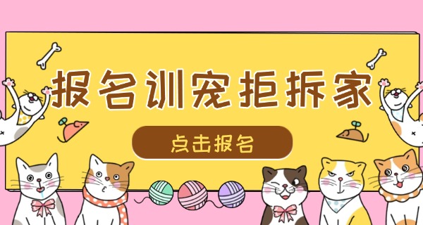 淮南训犬师培训学校哪个好-淮南训犬师学校哪家好